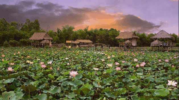 Thuê xe đi Đồng Tháp